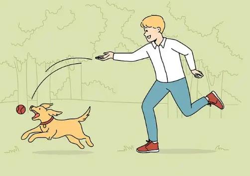 What do dogs like to play with their owners?